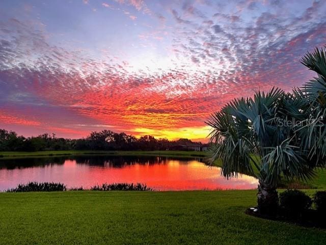 water view