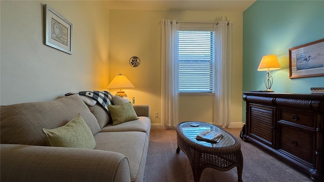 living room with carpet floors