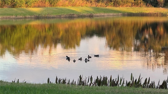 property view of water