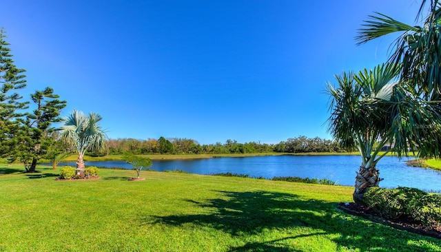 property view of water