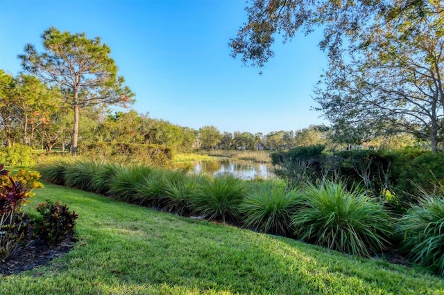 view of yard with a water view