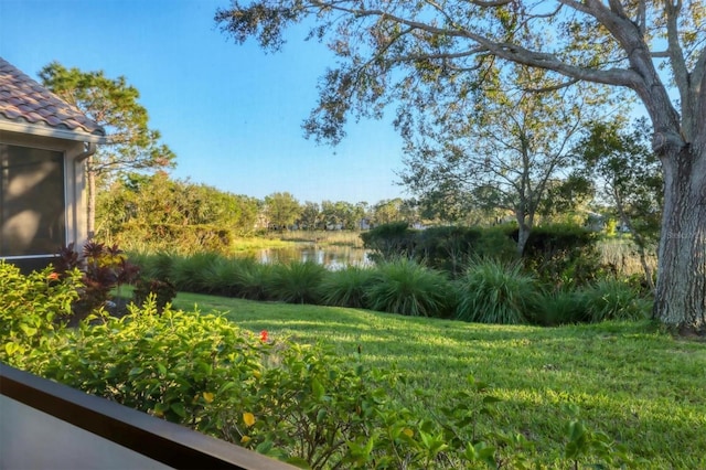 view of yard featuring a water view