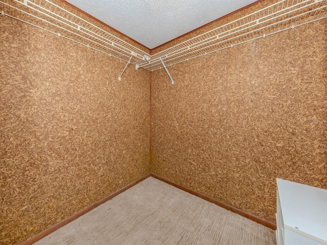 spacious closet with carpet flooring