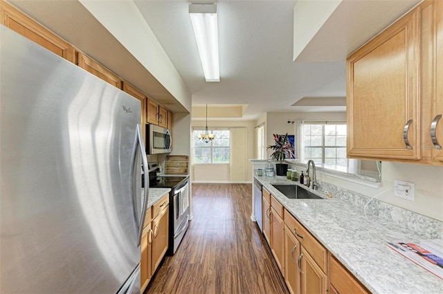 kitchen with appliances with stainless steel finishes, dark hardwood / wood-style floors, a healthy amount of sunlight, and sink