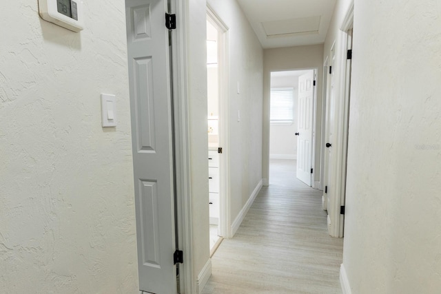 hall featuring light hardwood / wood-style flooring