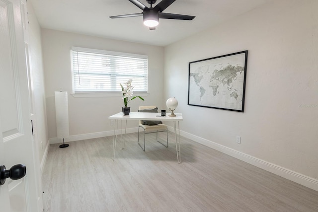 office space with light hardwood / wood-style floors and ceiling fan