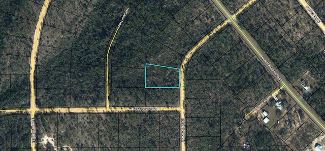 Listing photo 2 for Tamarac Rd, Marianna FL 32448