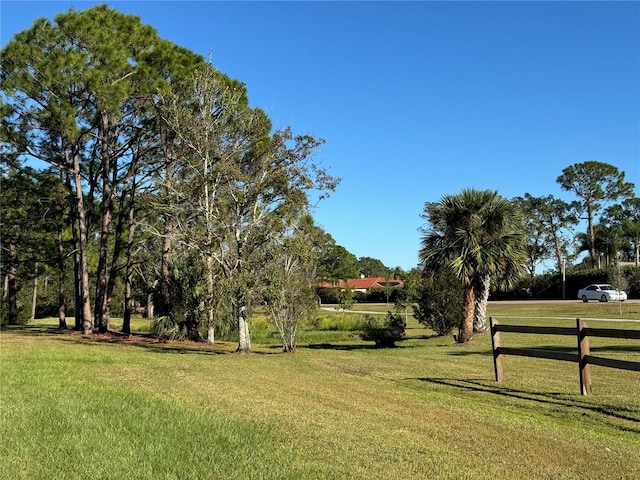 view of yard