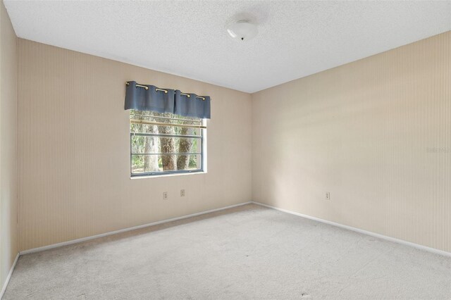 2807 Country River Dr, Parrish, FL 34219 - empty room featuring carpet, a textured ceiling, and baseboards