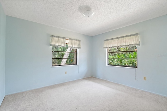 2807 Country River Dr, Parrish, FL 34219 - unfurnished room with light colored carpet, a textured ceiling, and baseboards