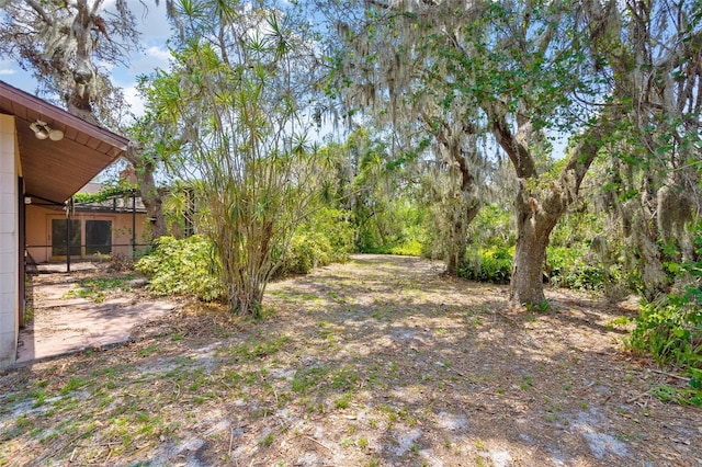 2807 Country River Dr, Parrish, FL 34219 - view of yard