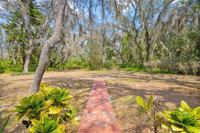 2807 Country River Dr, Parrish, FL 34219 - view of yard