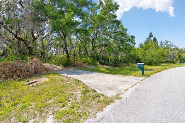 2807 Country River Dr, Parrish, FL 34219 - view of street