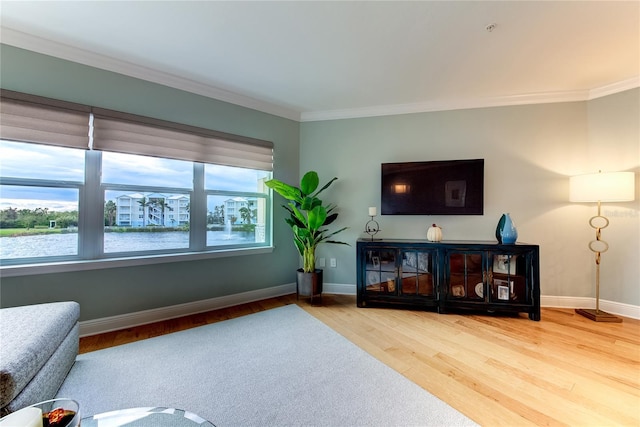 living room featuring wood-type flooring, ornamental molding, and a wealth of natural light