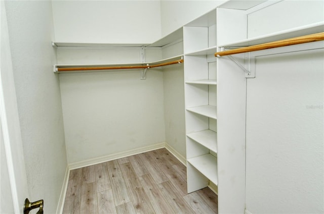 spacious closet with light hardwood / wood-style floors