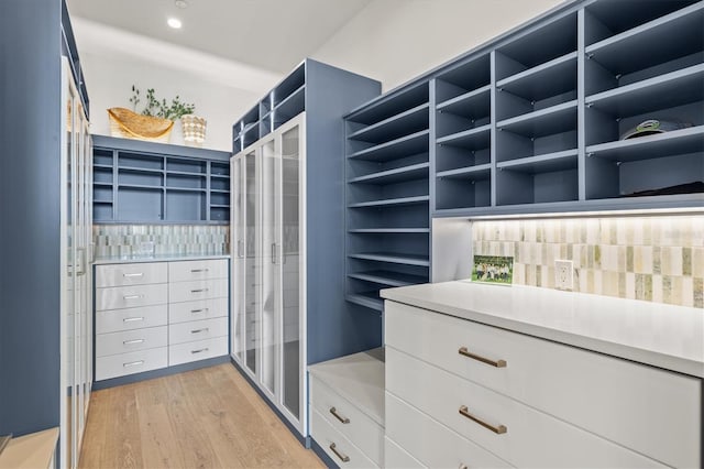 spacious closet with light hardwood / wood-style floors