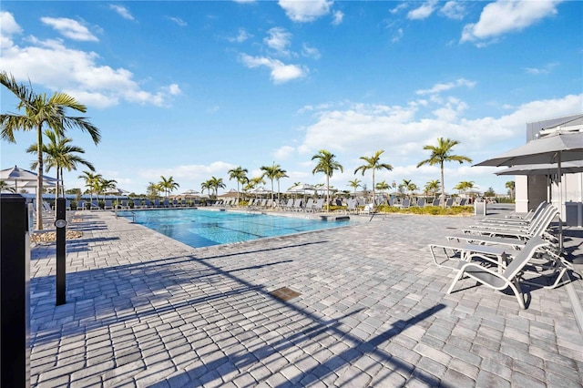 view of pool featuring a patio