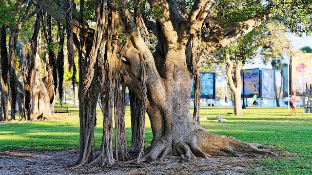 view of home's community with a lawn