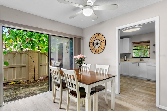 dining area featuring ceiling fan, light wood finished floors, and baseboards