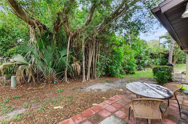 3415 51st Avenue Cir W Unit 206, Bradenton, FL 34210 - view of yard featuring a patio area