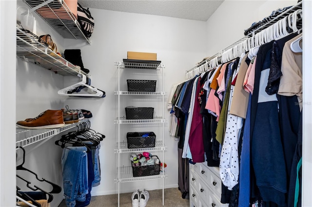 walk in closet with carpet flooring