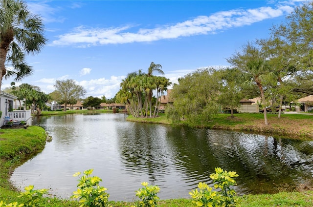 property view of water