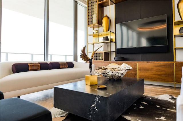 living room featuring hardwood / wood-style flooring