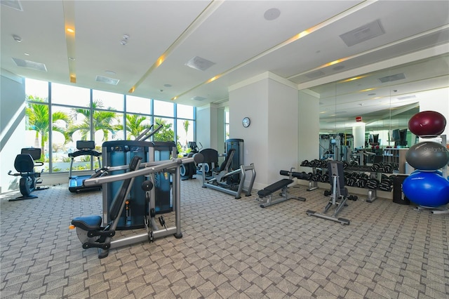 exercise room with carpet flooring and floor to ceiling windows