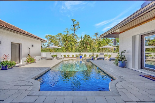 view of swimming pool with a patio area