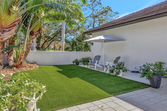 view of yard featuring a patio area