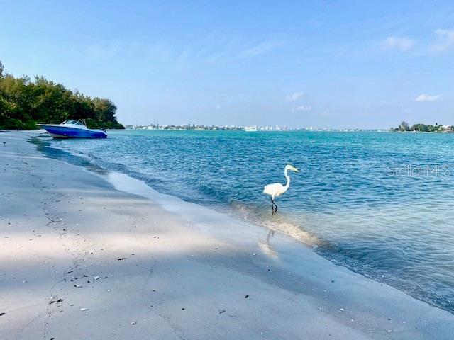 2141 Clematis St, Sarasota, FL 34239 - water view