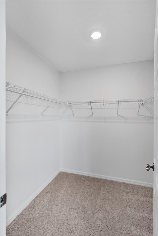 spacious closet with carpet flooring