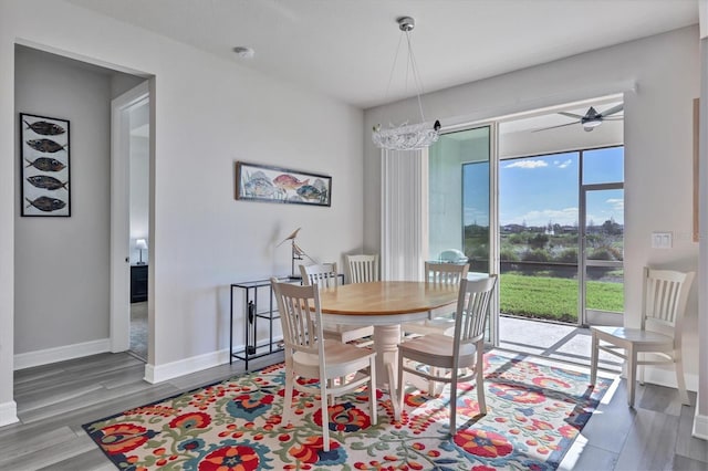 dining space with ceiling fan and hardwood / wood-style floors