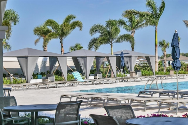 view of swimming pool with a patio