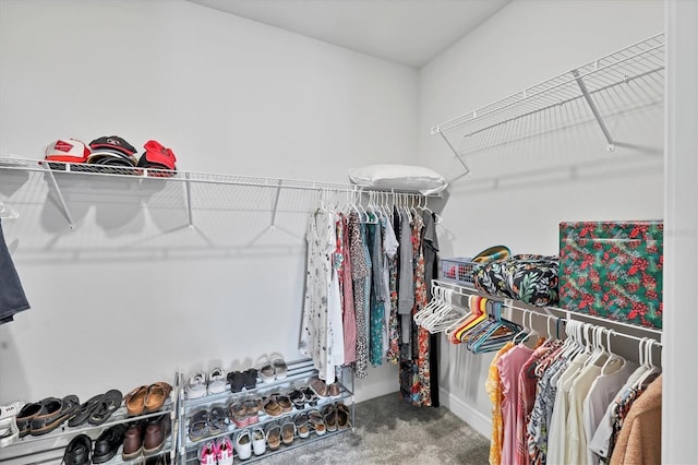 walk in closet featuring carpet floors