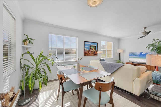 dining area with hardwood / wood-style flooring, ceiling fan, and ornamental molding