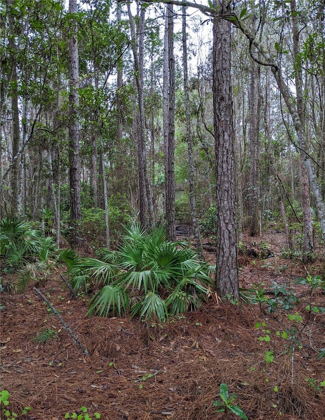 Listing photo 2 for TBD NE 220th St, Fort Mc Coy FL 32134