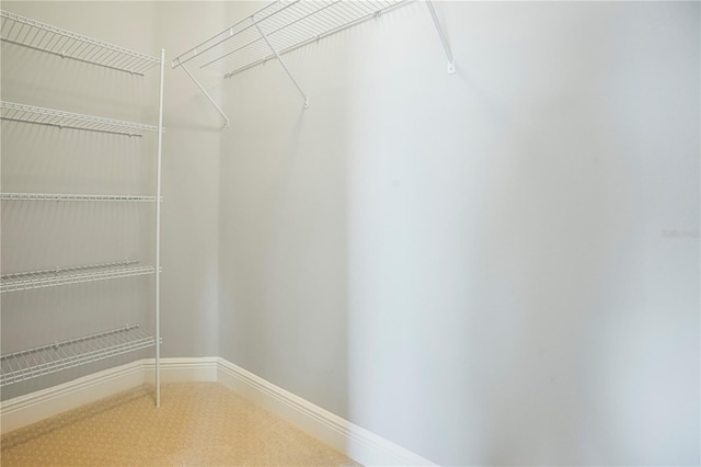 view of walk in closet