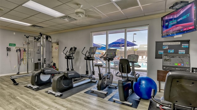 workout area with a paneled ceiling, a wealth of natural light, ceiling fan, and hardwood / wood-style flooring