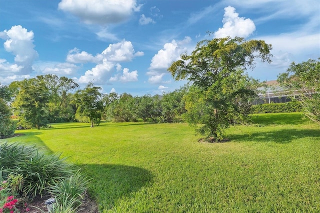 view of yard