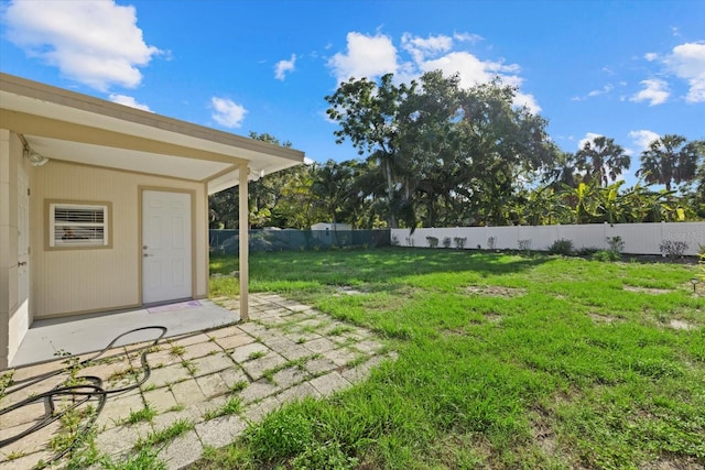 view of yard featuring a patio area