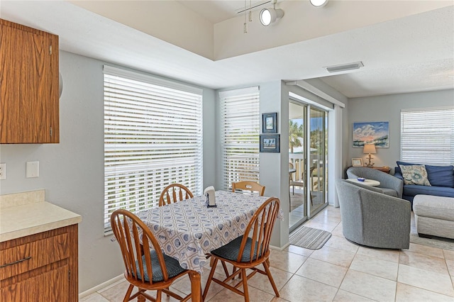 tiled dining room featuring plenty of natural light