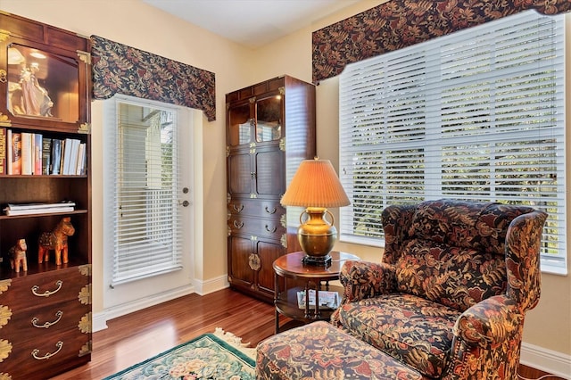 sitting room with a wealth of natural light and wood-type flooring