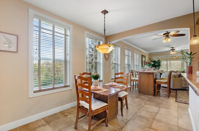 dining area with ceiling fan and crown molding