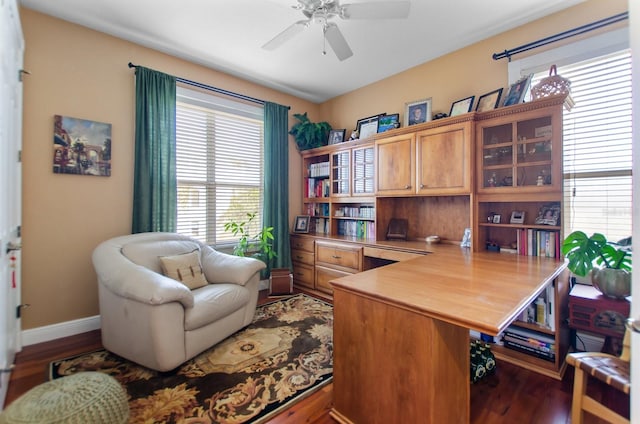 office space with ceiling fan and dark hardwood / wood-style flooring