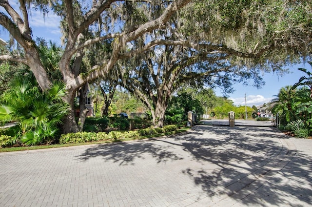 5209 Manorwood Dr Unit 3A, Sarasota, FL 34235 - view of road featuring a gate and curbs