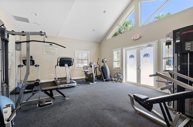 gym featuring french doors, high vaulted ceiling, and a healthy amount of sunlight