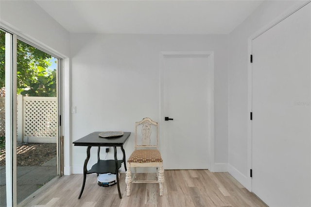 interior space featuring light wood-type flooring