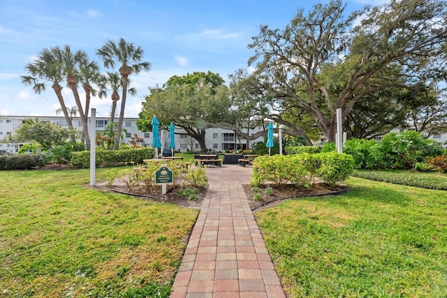 5902 Garden Ln Unit A24, Bradenton, FL 34207 - view of grassy yard