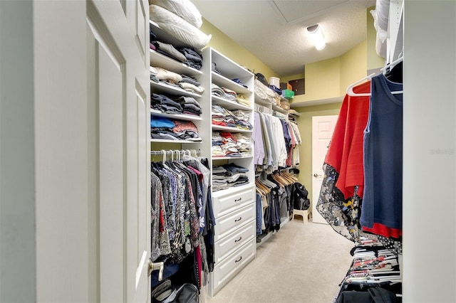 spacious closet featuring light carpet